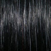 Eva Gabor Wig Color Dark Chocolate Mist