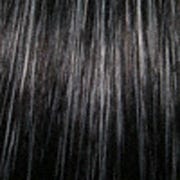 Eva Gabor Wig Color Dark Chocolate Mist