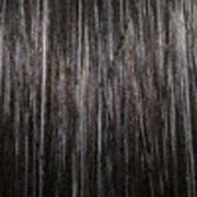 Eva Gabor Wig Color Dark Chocolate Mist