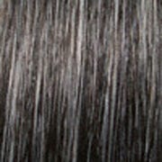 Eva Gabor Wig Color Dark Chocolate Mist