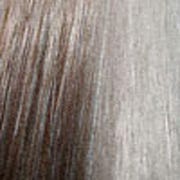 Eva Gabor Wig Color Dark Chocolate Mist