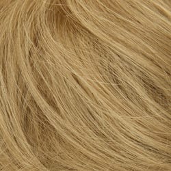 Eva Gabor Wig Color Dark Chocolate Mist