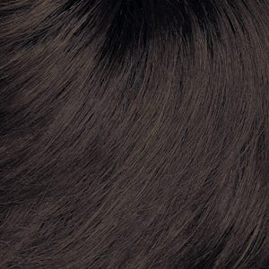 Eva Gabor Wig Color Dark Chocolate Mist