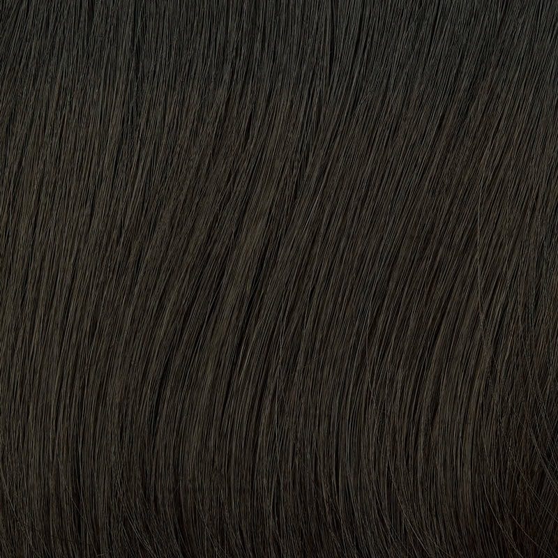 Eva Gabor Wig Color Dark Chocolate Mist