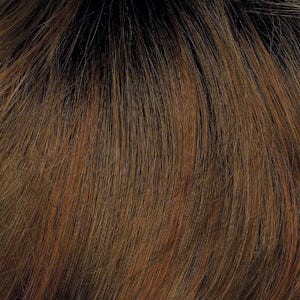 Eva Gabor Wig Color Dark Chocolate Mist