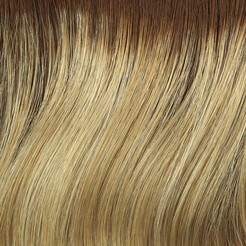 Eva Gabor Wig Color Dark Chocolate Mist