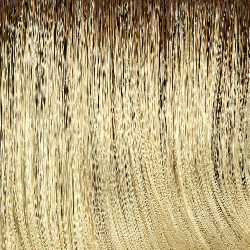 Eva Gabor Wig Color Dark Chocolate Mist