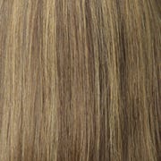Eva Gabor Wig Color Dark Chocolate Mist