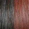Eva Gabor Wig Color Dark Chocolate Mist