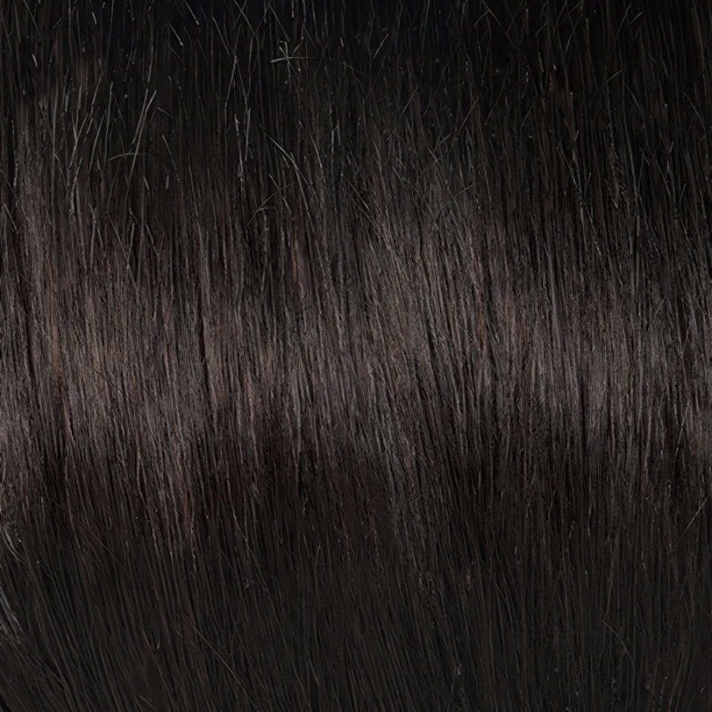 Eva Gabor Wig Color Dark Chocolate Mist