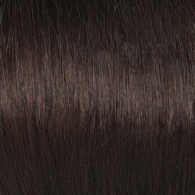 Eva Gabor Wig Color Dark Chocolate Mist