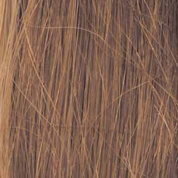 Eva Gabor Wig Color Dark Chocolate Mist