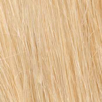 Eva Gabor Wig Color Dark Chocolate Mist