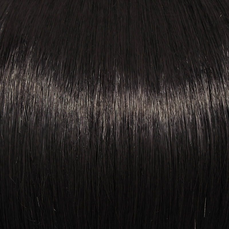 Eva Gabor Wig Color Dark Chocolate Mist
