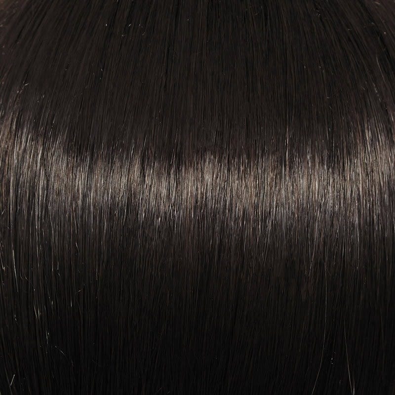 Eva Gabor Wig Color Dark Chocolate Mist