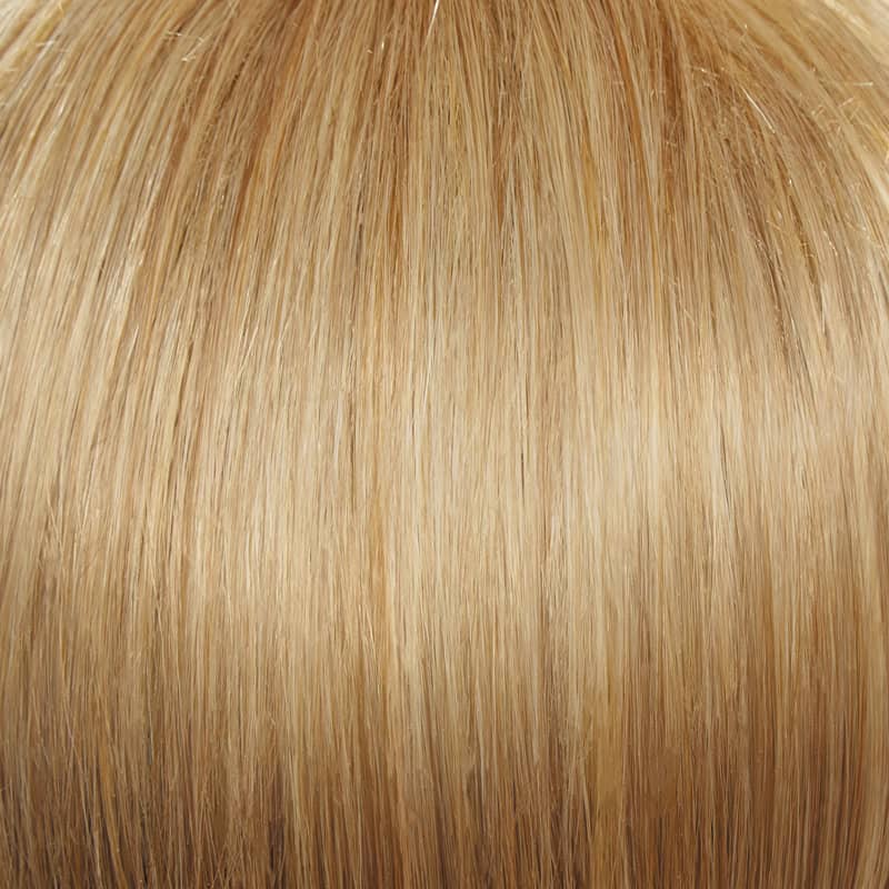 Eva Gabor Wig Color Dark Chocolate Mist