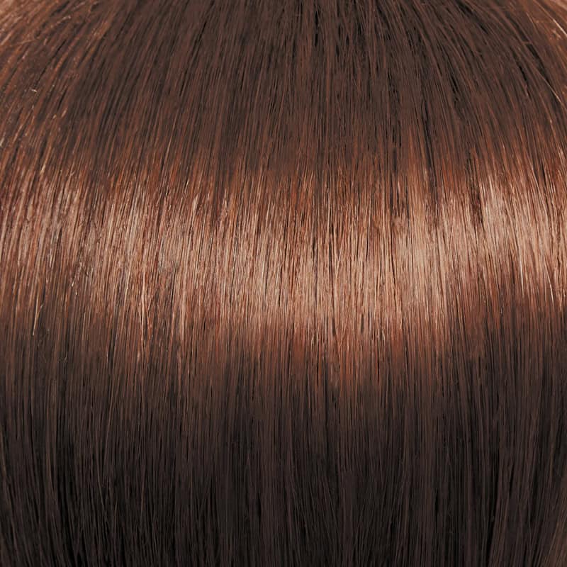 Eva Gabor Wig Color Dark Chocolate Mist