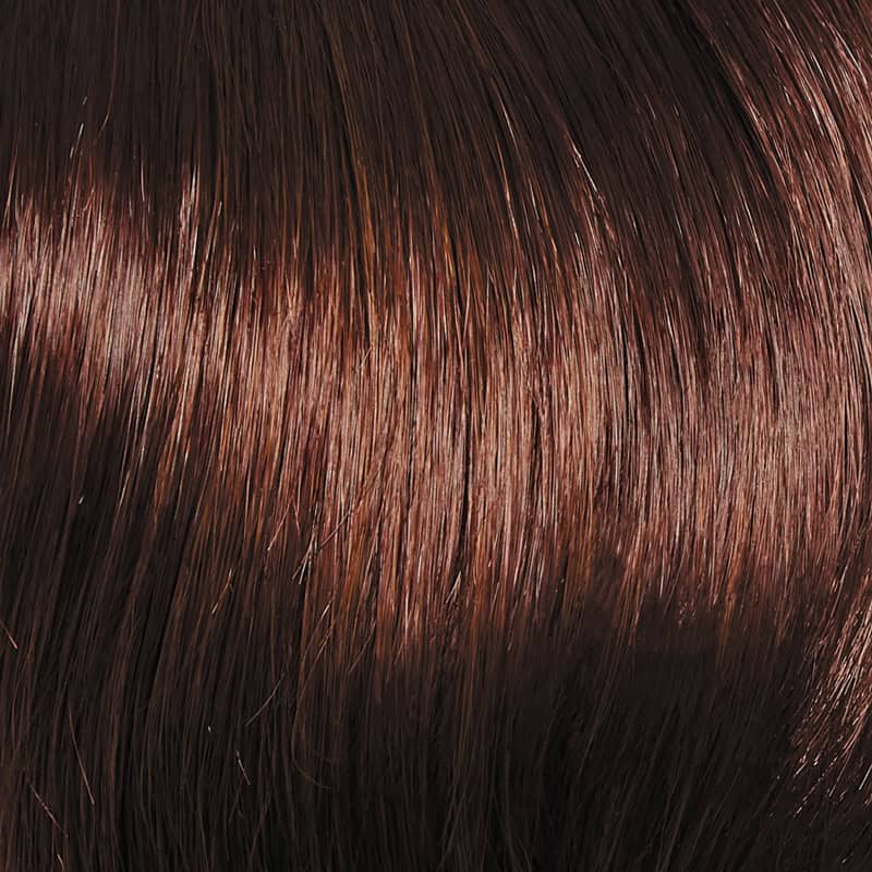 Eva Gabor Wig Color Dark Chocolate Mist