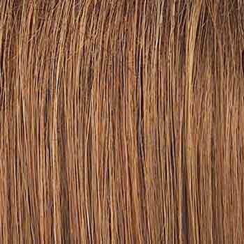 Eva Gabor Wig Color Dark Chocolate Mist