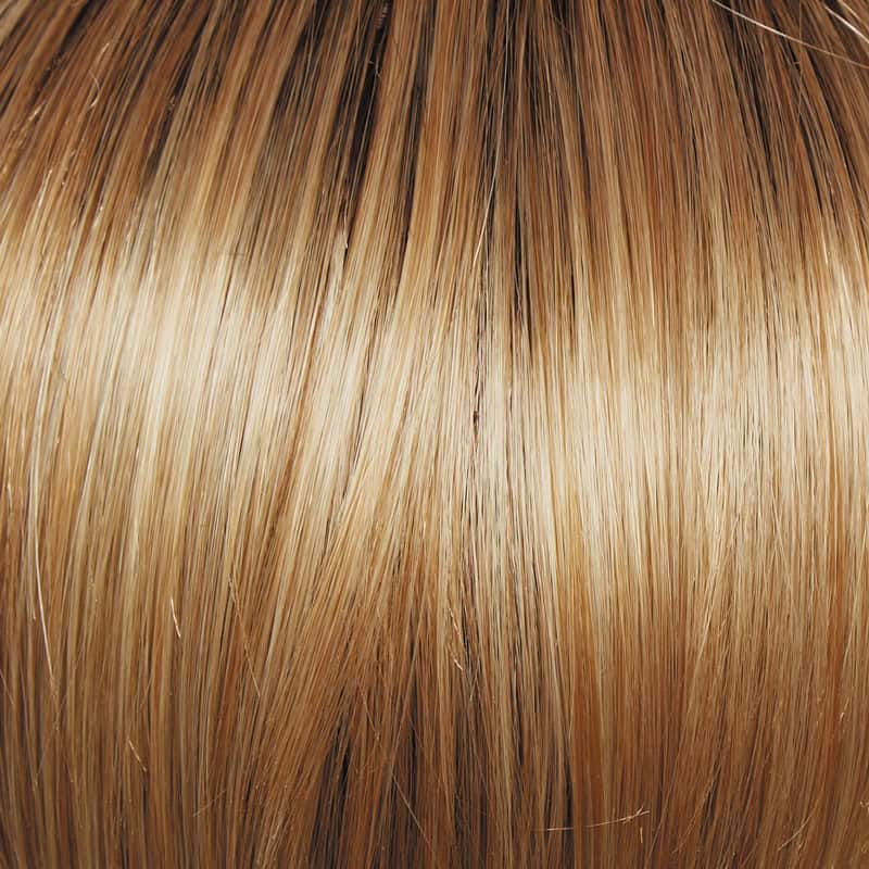 Eva Gabor Wig Color Dark Chocolate Mist