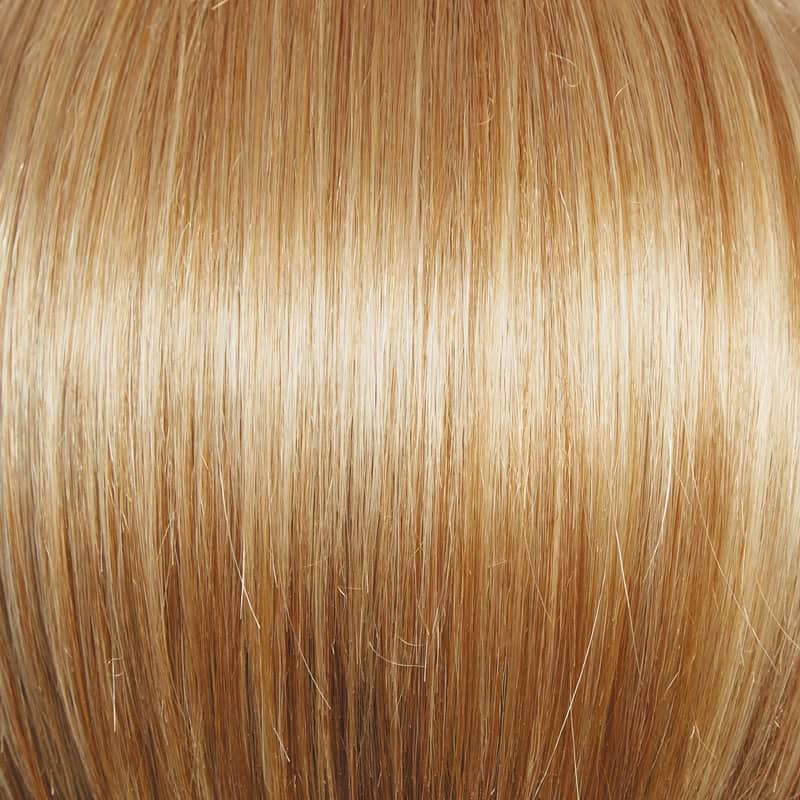 Eva Gabor Wig Color Dark Chocolate Mist