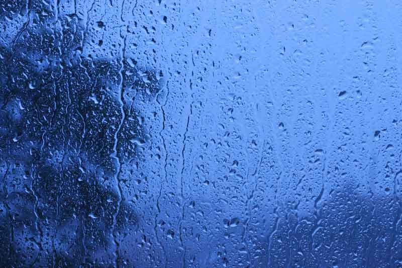 Rainy window in springtime